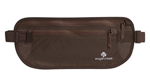 Eagle Creek Travel Gear Undercover Hidden Pocket, Black 19